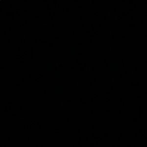 Meet your Posher, Dina